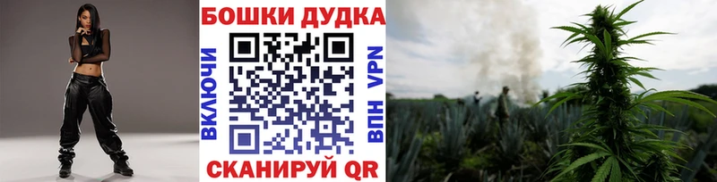 Шишки марихуана планчик купить наркоту Мичуринск